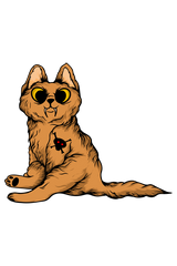 Premium T-Shirt For Women