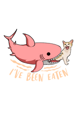 All Weather Round neck 3/4 Sleeve Cotton T-shirt for Women