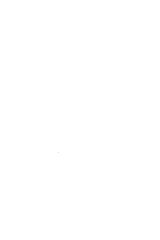 Ricky and Martin Terry Shorts