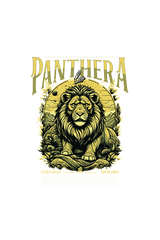 Streetwear Premium Oversized Pure Cotton Shirt